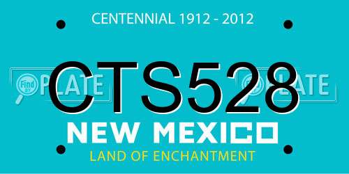 CTS528 New Mexico License Plate
