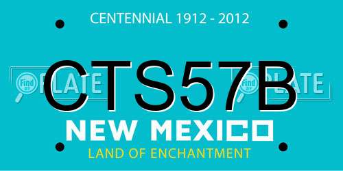 CTS57B New Mexico License Plate