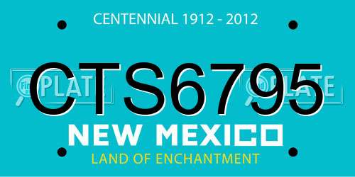 CTS6795 New Mexico License Plate