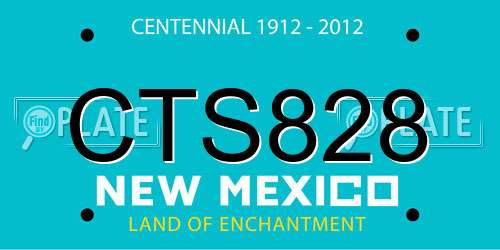 CTS828 New Mexico License Plate