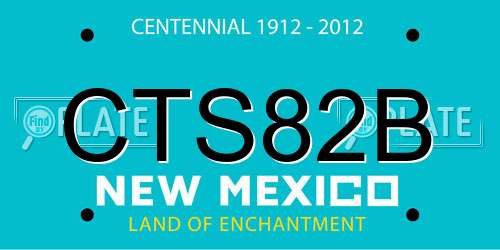CTS82B New Mexico License Plate