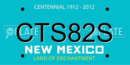 CTS82S New Mexico License Plate
