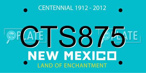 CTS875 New Mexico License Plate