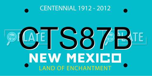 CTS87B New Mexico License Plate