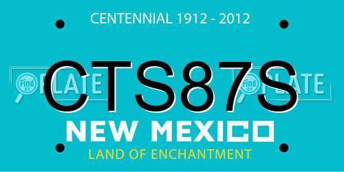 CTS87S New Mexico License Plate