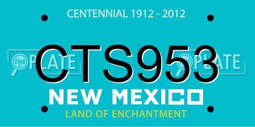 CTS953 New Mexico License Plate