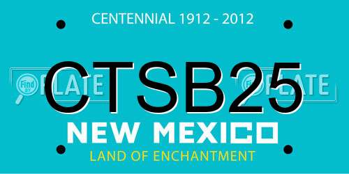 CTSB25 New Mexico License Plate