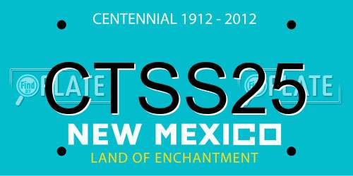CTSS25 New Mexico License Plate