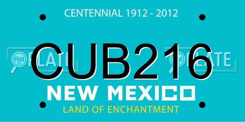 CUB216 New Mexico License Plate