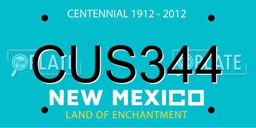 CUS344 New Mexico License Plate