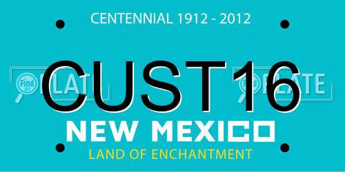 CUST16 New Mexico License Plate