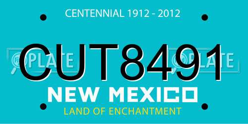 CUT8491 New Mexico License Plate