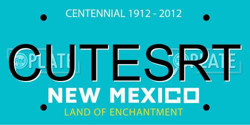 CUTESRT New Mexico License Plate