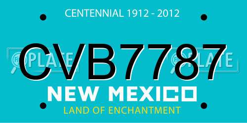 CVB7787 New Mexico License Plate