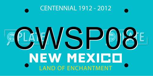 CWSP08 New Mexico License Plate
