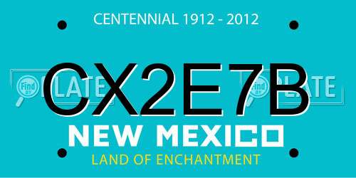 CX2E7B New Mexico License Plate