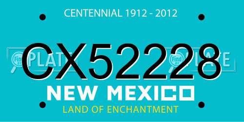 CX52228 New Mexico License Plate
