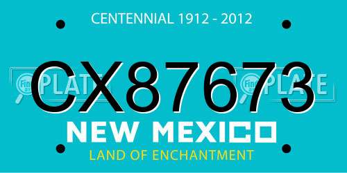 CX87673 New Mexico License Plate