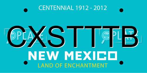 CXSTTTB New Mexico License Plate