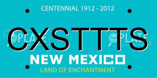 CXSTTTS New Mexico License Plate