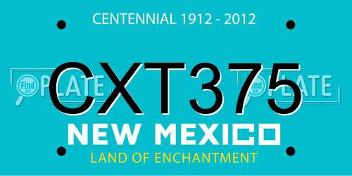 CXT375 New Mexico License Plate