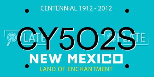 CY5O2S New Mexico License Plate
