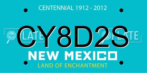 CY8D2S New Mexico License Plate