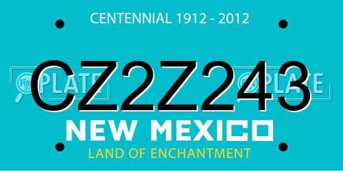 CZ2Z243 New Mexico License Plate
