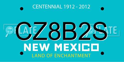 CZ8B2S New Mexico License Plate