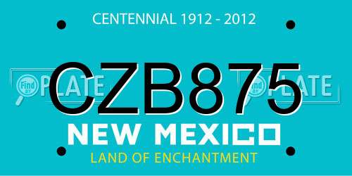 CZB875 New Mexico License Plate