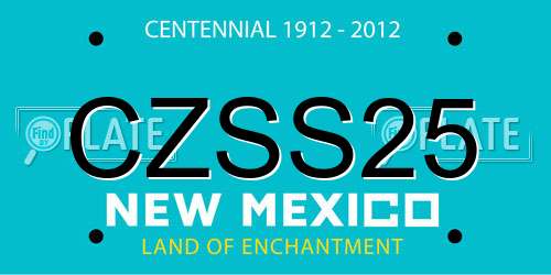 CZSS25 New Mexico License Plate