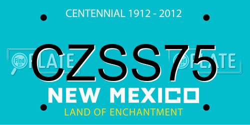 CZSS75 New Mexico License Plate
