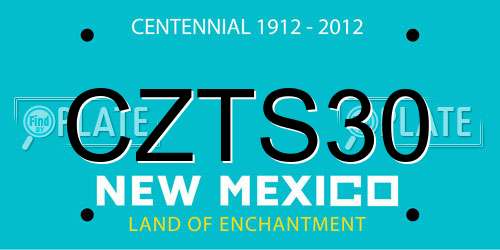 CZTS30 New Mexico License Plate