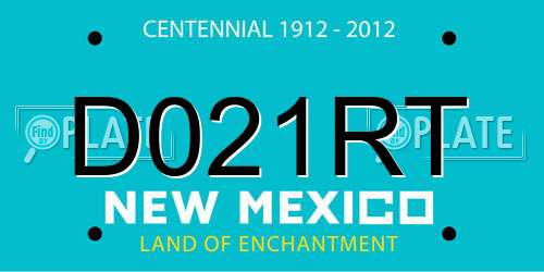 D021RT New Mexico License Plate