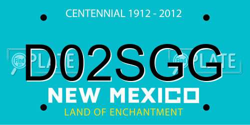 D02SGG New Mexico License Plate