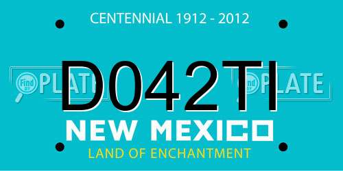 D042TI New Mexico License Plate
