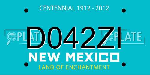 D042ZI New Mexico License Plate