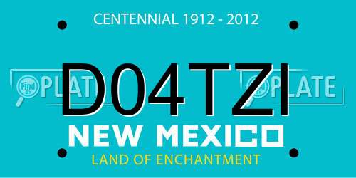 D04TZI New Mexico License Plate