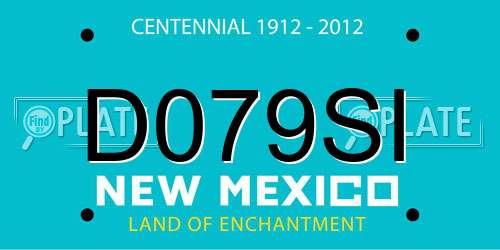 D079SI New Mexico License Plate
