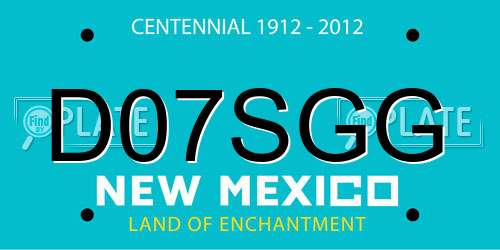D07SGG New Mexico License Plate