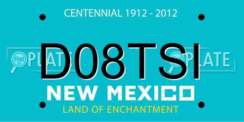 D08TSI New Mexico License Plate