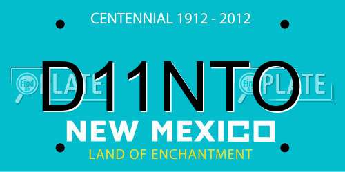 D11NTO New Mexico License Plate