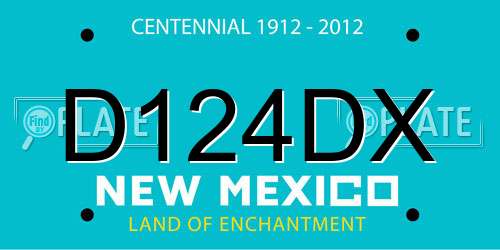 D124DX New Mexico License Plate