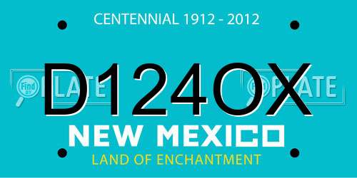 D124OX New Mexico License Plate
