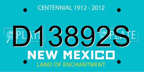 D13892S New Mexico License Plate