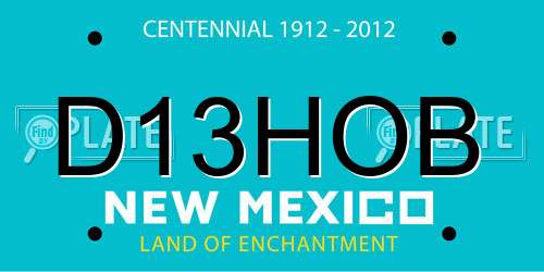 D13HOB New Mexico License Plate