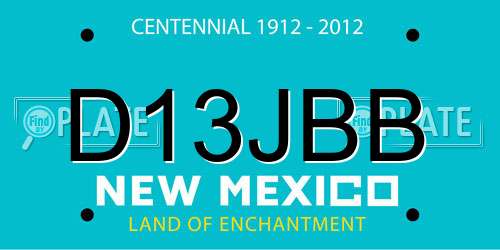 D13JBB New Mexico License Plate