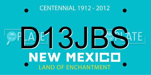 D13JBS New Mexico License Plate