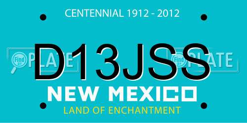 D13JSS New Mexico License Plate