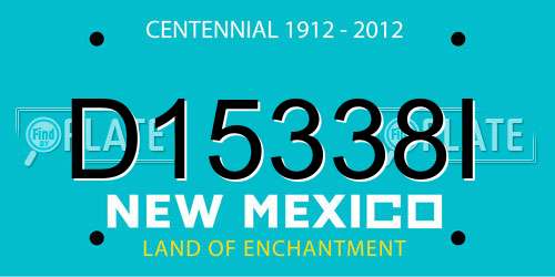 D15338I New Mexico License Plate